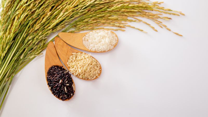 Giá lúa gạo trong nước hôm nay 23/4
