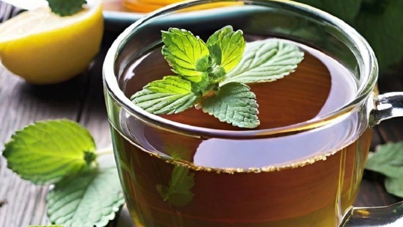 Uống nước lá tía tô mỗi ngày mang lại nhiều lợi ích Uống nước lá tía tô mỗi ngày mang lại nhiều lợi ích