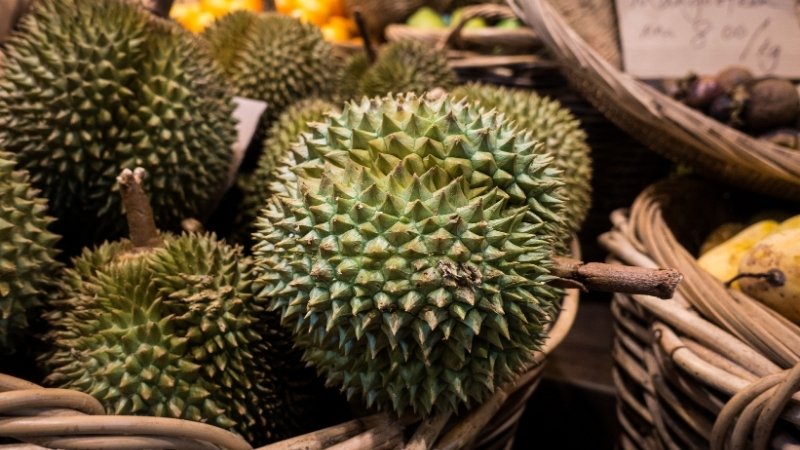 Dự báo và nhận định