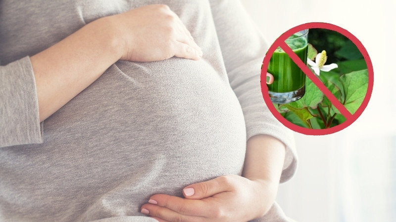 Ai không nên ăn/uống rau diếp cá?