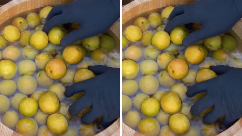 Sơ chế nguyên liệu