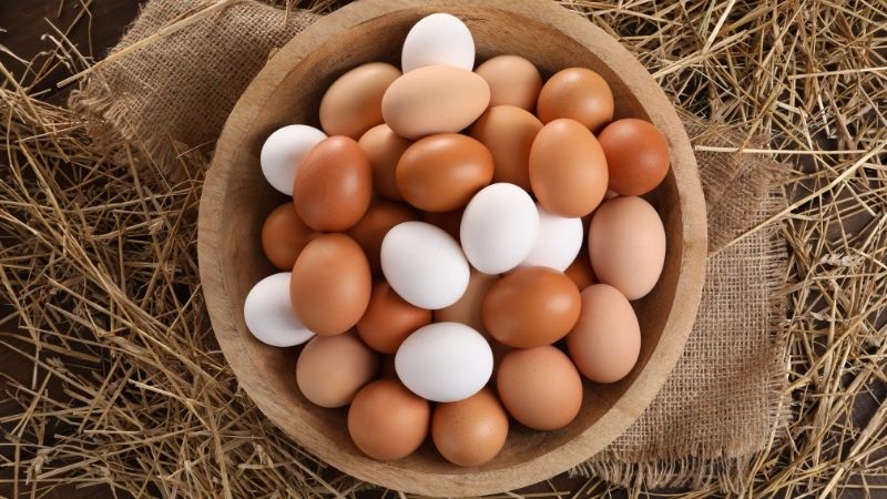 Giá trứng gà hôm nay 25/04 Giá trứng gà hôm nay 25/04