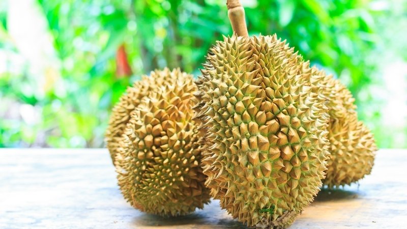 Tình hình thị trường quốc tế