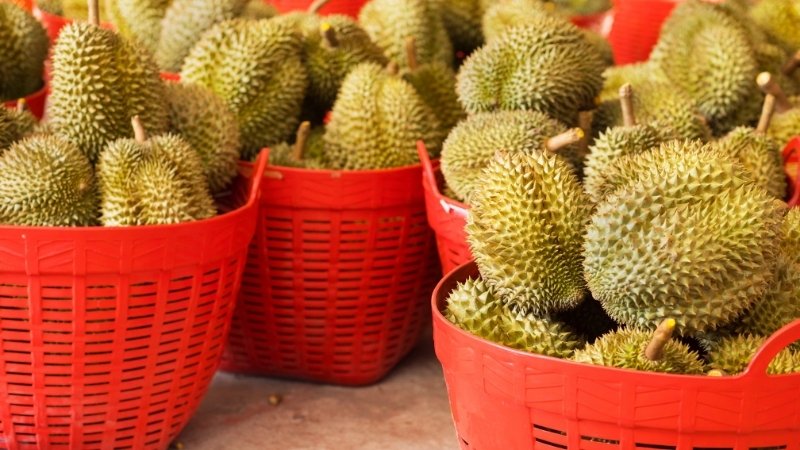 Dự báo và nhận định