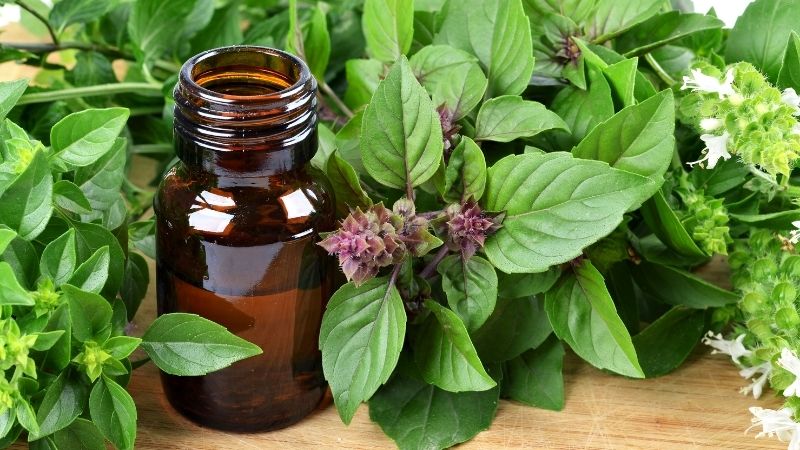 Liều lượng và thời điểm uống phù hợp Liều lượng và thời điểm uống phù hợp