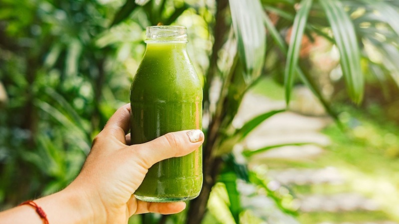 Những lưu ý khi uống nước rau húng quế Những lưu ý khi uống nước rau húng quế