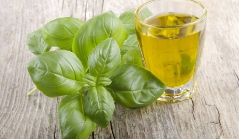 Uống nước rau húng quế có tác dụng gì? Hướng dẫn uống đúng cách