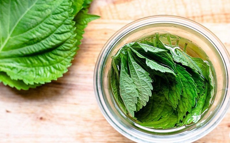Các yếu tố ảnh hưởng đến thời gian thấy hiệu quả
