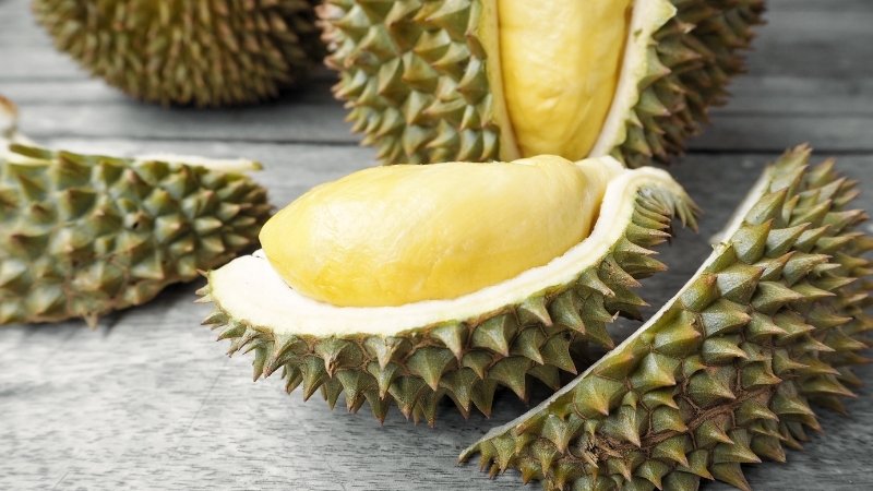Dự báo và nhận định