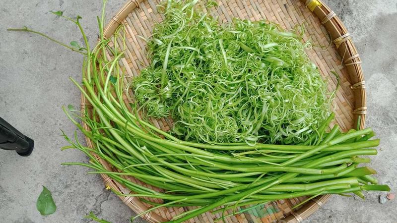 Cách ăn rau muống tốt cho người đau dạ dày