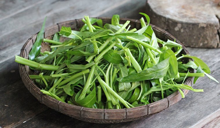 Người bệnh đau dạ dày có nên ăn rau muống không?