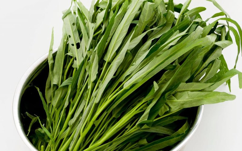 Câu hỏi thường gặp