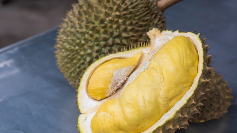 Giá sầu riêng hôm nay trong nước
