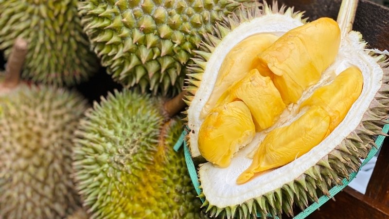 Dự báo và nhận định