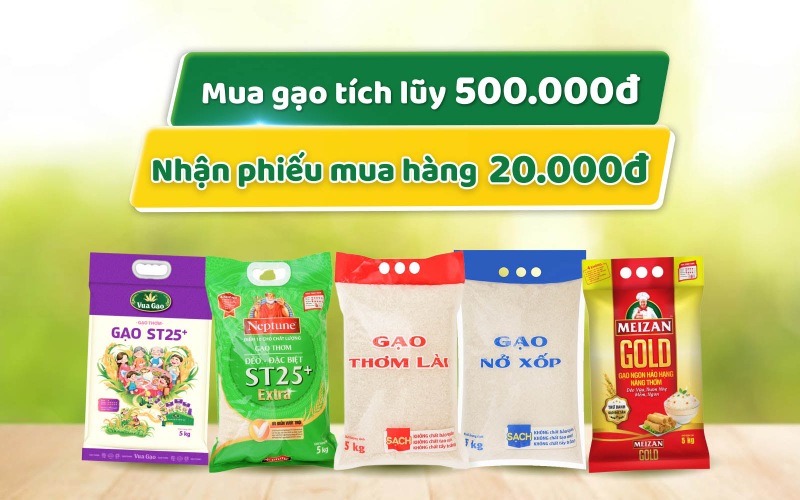 Tích lũy mua gạo, nhận phiếu mua hàng tại Bách hóa XANH Tích lũy mua gạo, nhận phiếu mua hàng tại Bách hóa XANH