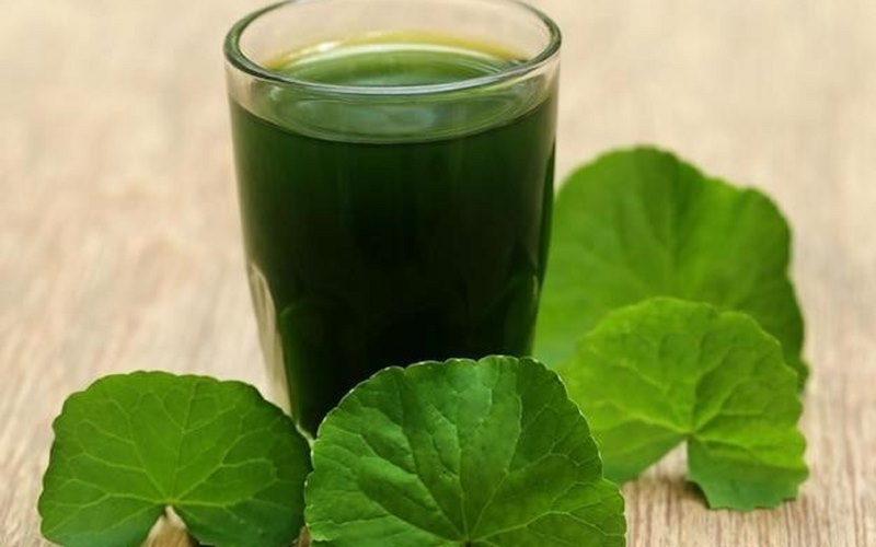 Lợi ích khác của nước rau má