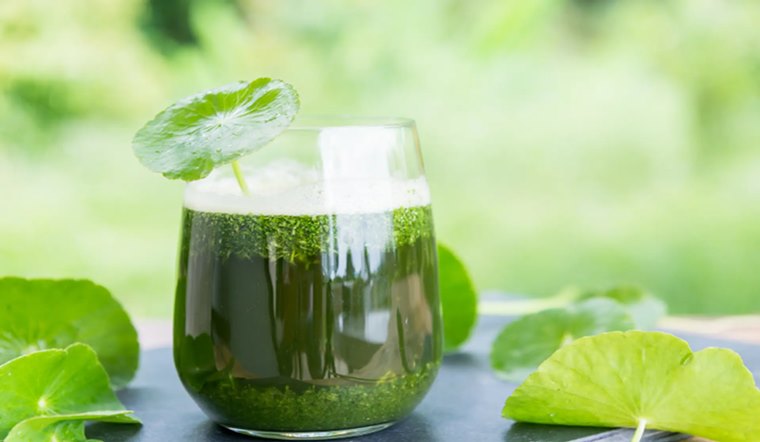 1 ly nước rau má bao nhiêu calo? Uống nước rau má có giảm cân không?