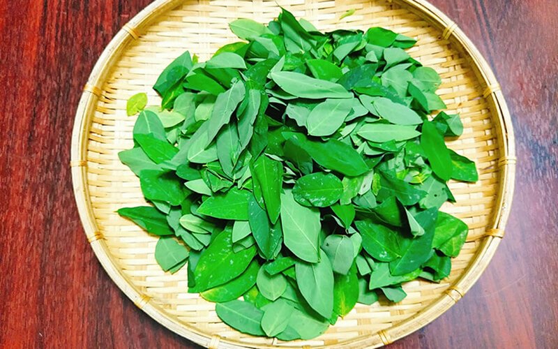 Rau ngót là gì? Đặc điểm và thành phần dinh dưỡng nổi bật