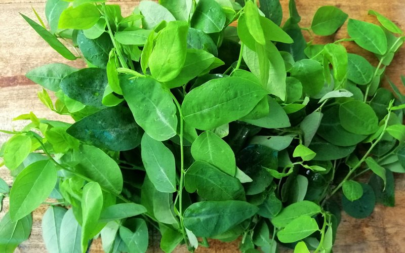 Lưu ý khi sử dụng rau ngót và đối tượng không nên ăn