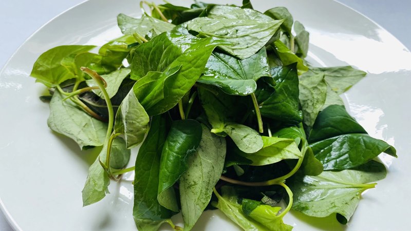 Câu hỏi thường gặp