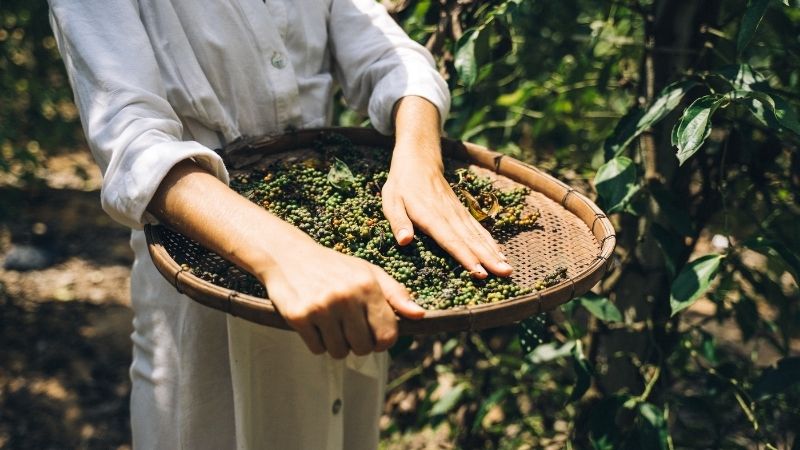 Dự báo và nhận định
