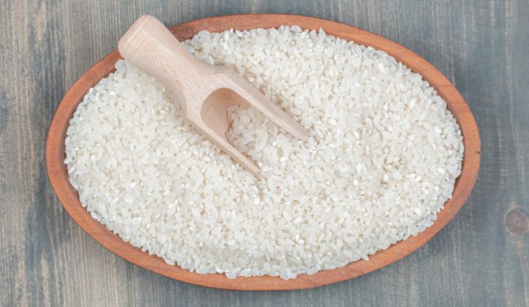 Giá lúa gạo hôm nay 29/4/2025: Lúa tươi đảo chiều giảm
