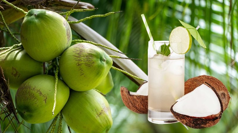 Bạn có thể uống nước dừa mỗi ngày