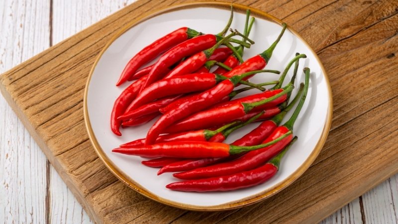 Dự báo và nhận định Dự báo và nhận định