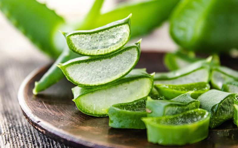 Trị mụn lưng bằng nha đam