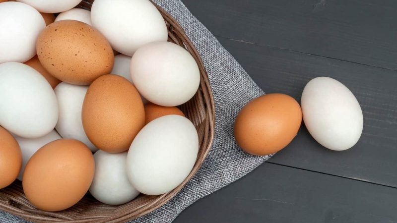 Giá trứng gà hôm nay 05/05 Giá trứng gà hôm nay 05/05