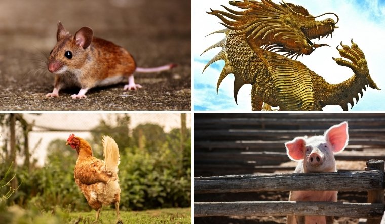 Tử vi ngày 05/05/2025 12 con giáp: Tý căng thẳng, Thìn may mắn trong công việc