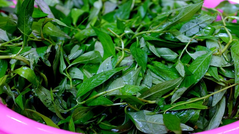 Cách sử dụng rau răm an toàn và hiệu quả