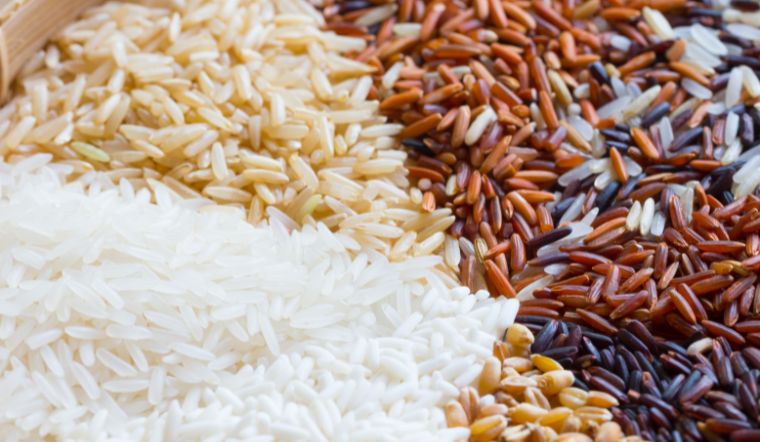 Giá lúa gạo hôm nay 06/5/2025: Mặt hàng lúa tươi giảm mạnh