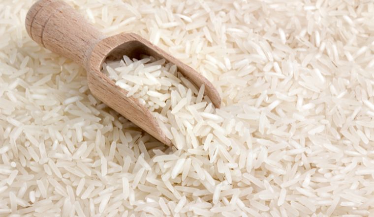 Giá lúa gạo hôm nay 07/5/2025: Lúa tươi vẫn giảm