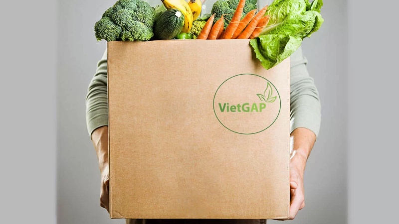VietGAP là gì? Định nghĩa và khái niệm cơ bản