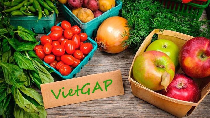 Nội dung chính của tiêu chuẩn VietGAP