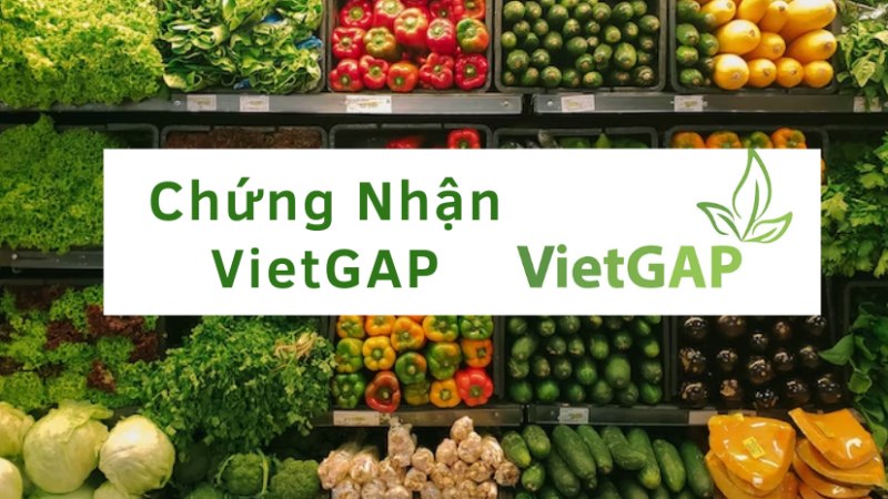 Thời hạn hiệu lực và giám sát Chứng nhận VietGAP