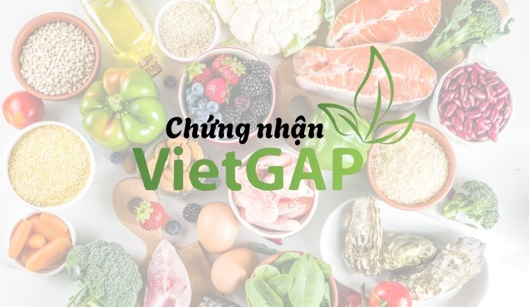 VietGAP là gì? Điều kiện để cấp chứng nhận VietGAP