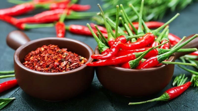Dự báo và nhận định Dự báo và nhận định