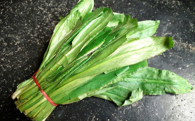 Câu hỏi thường gặp