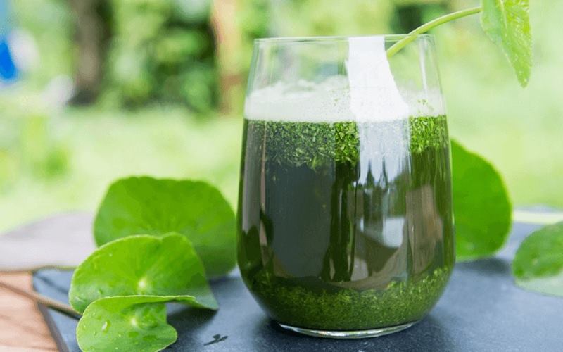 Uống nước ép rau má