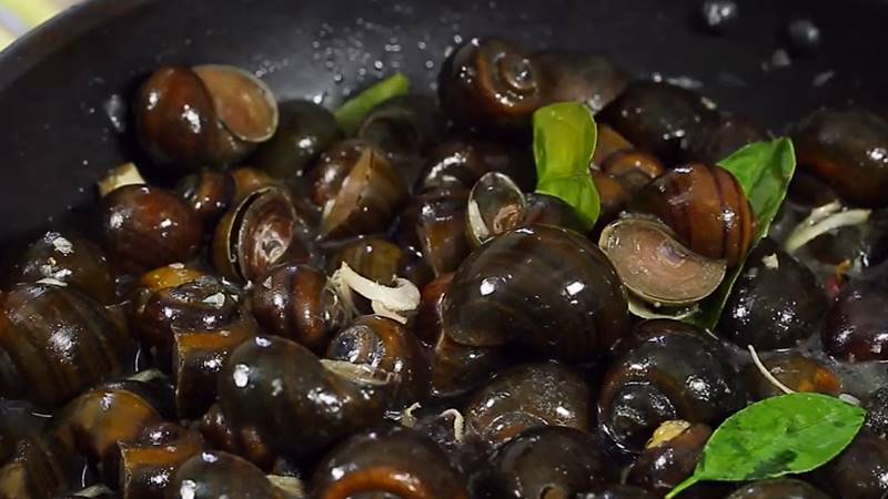 Xào ốc mít