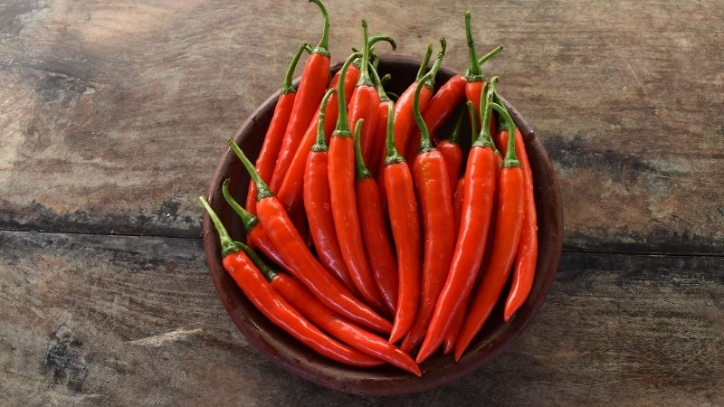 Dự báo và nhận định