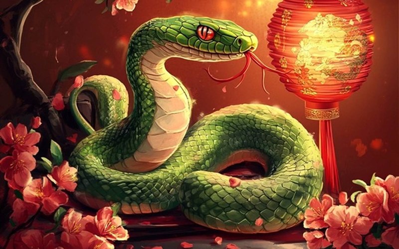 Xem tử vi tuổi Kỷ Tỵ năm 2025 nữ mạng