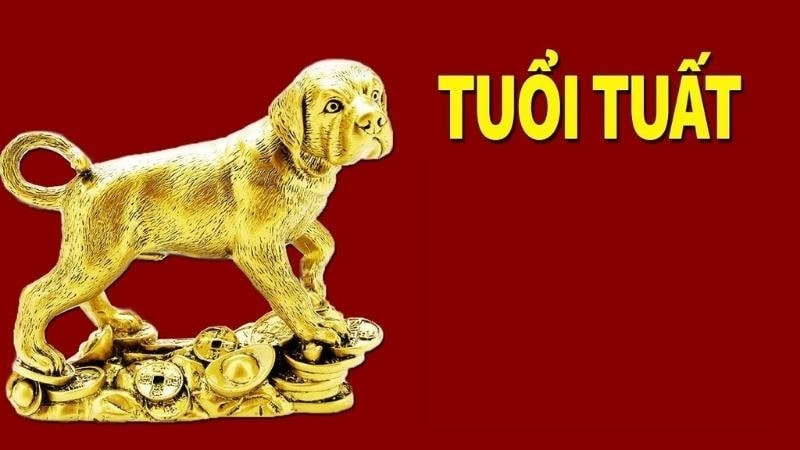 Phong thủy may mắn nữ mạng Nhâm Tuất 1982
