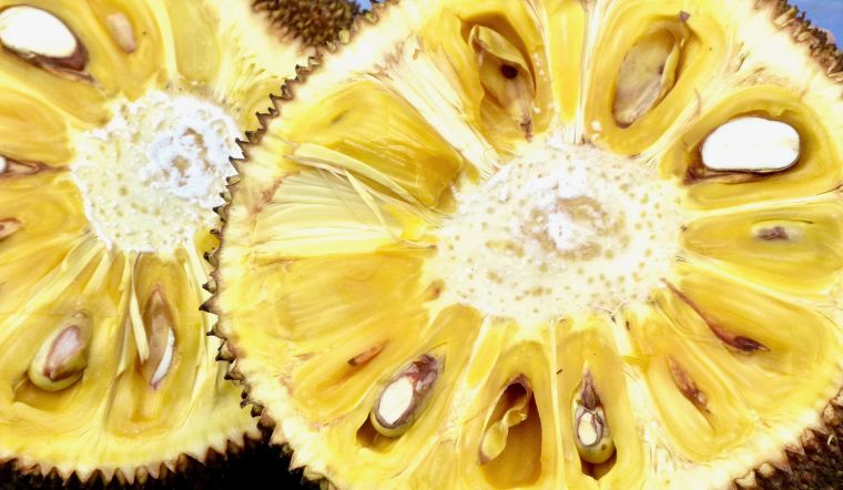Giá mít Thái hôm nay 13/5/2025: Giảm sâu còn dưới 10.000 đồng/kg