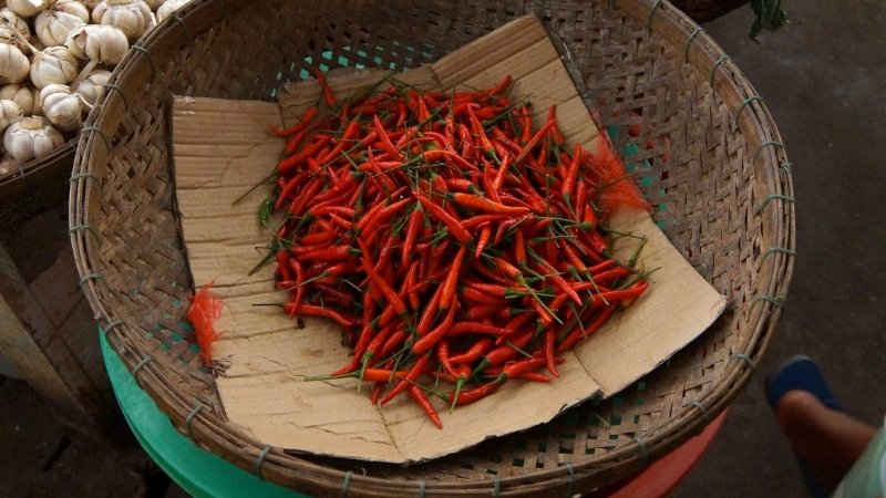 Giá ớt hôm nay 13/05/2025 trong nước Giá ớt hôm nay 13/05/2025 trong nước