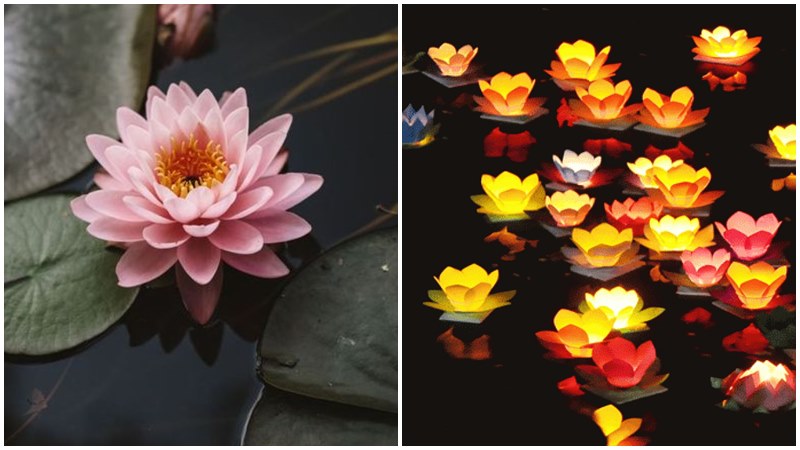 Yêu thương không đợi đến mai, hãy thể hiện hôm nay