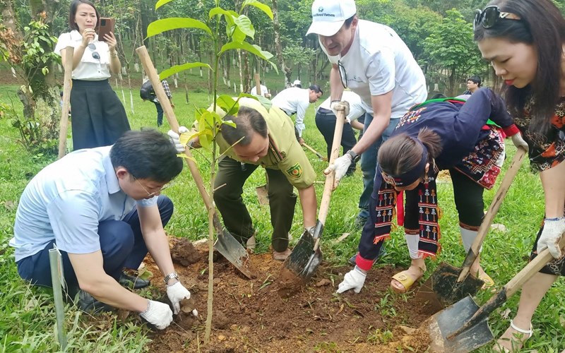 Ý nghĩa của Ngày Thế giới Chống Sa mạc hóa và Hạn hán