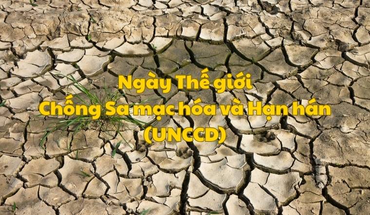 Ngày Thế giới Chống Sa mạc hóa và Hạn hán là ngày gì? Có gì đặc biệt?